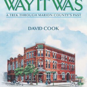 The Way It Was - Volume 2 - by David Cook