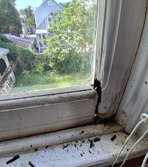 rotted window